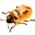 colabora